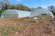 Hyères : 5 000 m² de terre bio mis à disposition pour tester le maraîchage