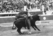 Il y a 58 ans, El Cordobés blessé à Mont-de-Marsan : retour sur une photo historique