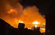 Incendies d'élevages : une enquête révèle 458 feux en un an, 189 000 animaux morts