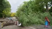 Inde : 89 morts dans des orages violents dans l'Uttar Pradesh