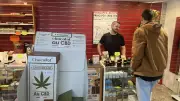 Interdiction des aliments CBD : polémique à Montpellier