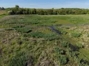 Inventaire des zones humides lancé sur 21 communes en Dordogne