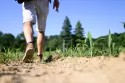 Irrigation : l'Adour paré malgré la canicule précoce