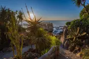 Jardin Exotique de Monaco : une redécouverte incontournable en 2026