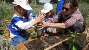 Jardins pédagogiques et label Ecocentre dans les accueils de loisirs