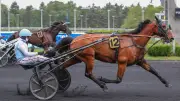 Jean-Michel Bazire remporte son 623e quinté avec Lord Délo à Vincennes