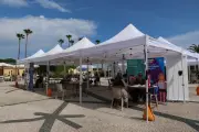 Job dating à Menton : décrochez un job d'été en quelques minutes
