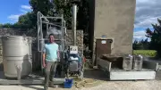Journée conviviale autour de l'extraction du thym au Domaine de Malaïgue