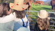 Journée découverte au Parc du Haut-Languedoc : élevage et culture