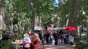 Journée des jardins à Lavérune : un rendez-vous naturel incontournable
