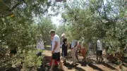 Journées portes ouvertes et théâtre au domaine Lupia