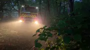 Jura : un barbecue mal éteint provoque un incendie de 3 hectares
