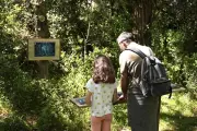 La Forêt Magique rouvre près de Bordeaux avec quatre nouvelles aventures