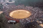 La Gironde défend sa tradition taurine face à la justice
