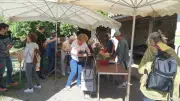 À La Noria, l'alimentation devient solidaire dans le Gard