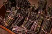 La pourpre, l'asperge qui sort du rang et séduit les gourmets
