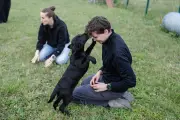 À La Rochelle, des chiots labrador choisissent leur maître douanier