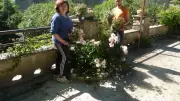 La Roque-sur-Cèze : le village se pare de fleurs méditerranéennes
