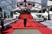 Le Festival de Cannes s'invite dans les cinémas de Gironde