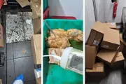 Le Master Poulet d'Argenteuil fermé après un contrôle sanitaire désastreux