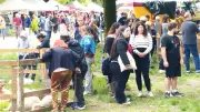 Le Printemps du Pélardon célèbre 25 ans d'AOP dans les Cévennes