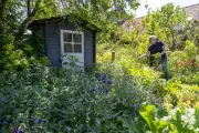 Le retour en grâce du potager : plus de Français cultivent leur jardin