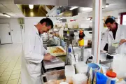 Lechef recrute : portes ouvertes les 19 mai et 9 juin 2026