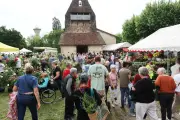 Les 41e Floralies : un succès pour les visiteurs et horticulteurs