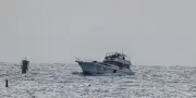 Les 430 membres de la flottille pour Gaza transférés en Israël par l'armée