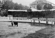 Les arènes de Dax : 110 ans d'histoire en images