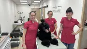 Les Ciseaux Canins s'installent face à l'université Hoche à Nîmes