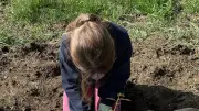 Les écoliers de Tresques invités à observer l'évolution de leurs arbres plantés