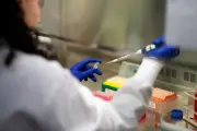 Les gants de laboratoire faussent les études sur les microplastiques