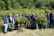 Les rotariens varois relancent la cueillette de la rose de mai