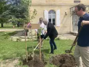 Lestiac-sur-Garonne célèbre la maïade avec un ginkgo biloba