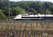 LGV en Gironde : la justice indemnise cinq riverains pour nuisances sonores