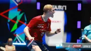 Ligue des champions : ANMTT-Lebrun face à Düsseldorf en demi-finale