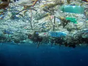 L'IHVP d'Agen transformera les déchets plastiques en carburant sur la Côte basque