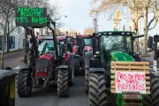 Loi Duplomb : le déni de science menace la démocratie