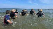 Longe côte : Open et Coupe de France au Couchant le 24 mai