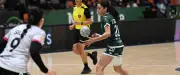 L'Usam Nîmoises termine sa saison en beauté face au Pouzin