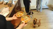 Lyon : premier restaurant gastronomique pour chiens en France, Dogstronomy