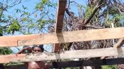 Madagascar : après le cyclone, la solidarité pour Terre des enfants