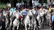 Manade Devaux remporte le concours d'abrivado de la feria d'Alès