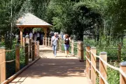 Mandelieu inaugure une forêt urbaine de 3 hectares pour 40 millions d'euros
