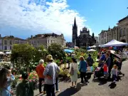 Marché aux fleurs animé le 8 mai à Bazas avec 40 exposants