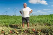 Marco, le maraîcher qui cultive sans eau ni pesticides depuis 30 ans