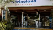 Marineland d'Antibes : le transfert des orques et dauphins vers l'Espagne se précise