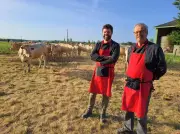 À Marmande, la boucherie de la Ferme de Garrigues fête 20 ans de circuit court