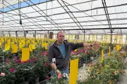 Meilland International : le rosiériste varois vise le marché chinois